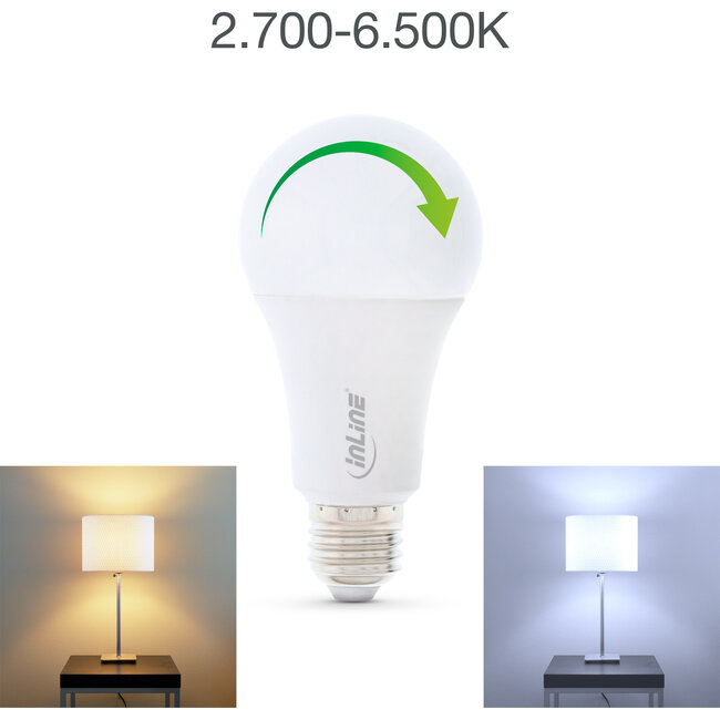 InLine® SmartHome LED Lampen RGB E27, 900LM
