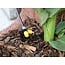 Delock Micro Drip Set for Pots – Complete Drip Irrigation Kit for Potted Plants