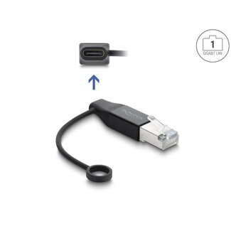 DeLOCK Delock USB Type-C™ Network Adapter Gigabit LAN 1 x RJ45 plug