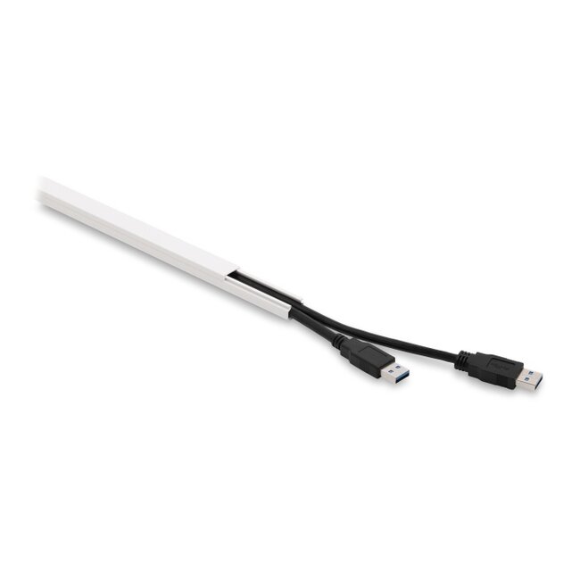 Delock Cable Duct self-adhesive with sliding cover 15 x 10 mm - length 1 m, pack of 5 pcs, white