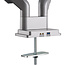InLine® bureausteun met lifter & USB/audio, 2 monitoren tot 81cm (32"), zilver