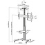 InLine® TV trolley, voor beeldschermen 37"-70" (94-178 cm), max. 50 kg