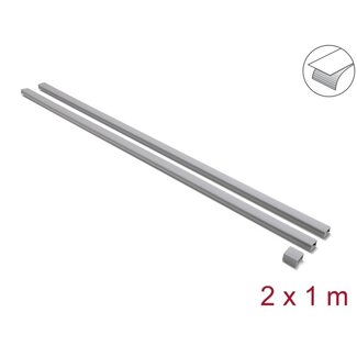 DeLOCK Delock Cable Duct self-adhesive with sliding cover 24 x 14 mm incl. connector - length 1 m pack of 2 pcs grey