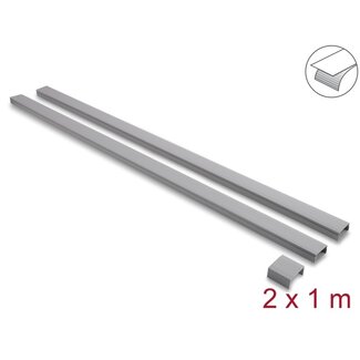 DeLOCK Delock Cable Duct self-adhesive with sliding cover 40 x 19 mm incl. connector - length 1 m pack of 2 pcs grey