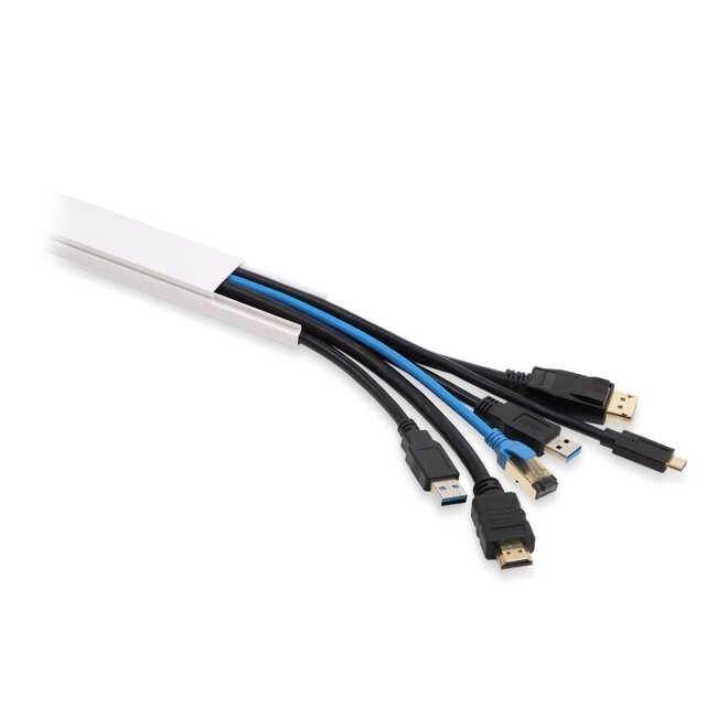 Delock Cable Duct self-adhesive with sliding cover 30 x 14 mm incl. connector - length 1 m pack of 2 pcs white