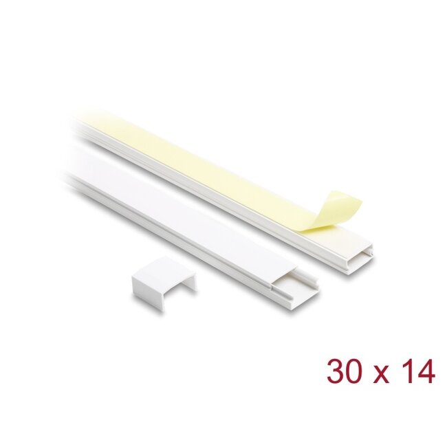 Delock Cable Duct self-adhesive with sliding cover 30 x 14 mm incl. connector - length 1 m pack of 2 pcs white