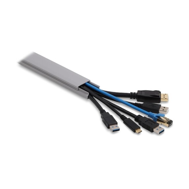 Delock Cable Duct self-adhesive with sliding cover 30 x 14 mm incl. connector - length 1 m pack of 2 pcs grey