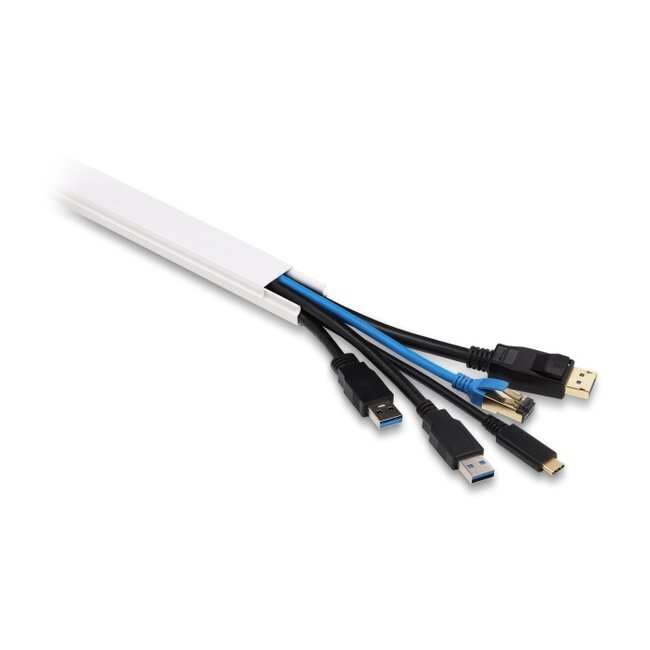 Delock Cable Duct self-adhesive with sliding cover 24 x 14 mm incl. connector - length 1 m pack of 2 pcs white