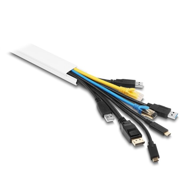 Delock Cable Duct self-adhesive with sliding cover 40 x 19 mm incl. connector - length 1 m pack of 2 pcs white