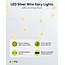 Goobay 20 LED Silver Wire Fairy Lights "Stars"