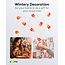 Goobay 10 LED Photo Clip Fairy Lights "Gift"