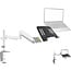 InLine® notebookhouder met VESA 75 adapter