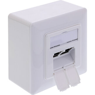 InLine InLine® Cat.6A netwerkcontactdoos, 2x RJ45, AP/UP, afgeschermd, wit, 76842A