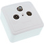 InLine® Antennecontactdoos + SAT, afgeschermd, AP/UP - Set