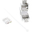 InLine® Keystone RJ45 female, SNAP-In, Cat.6a, met stofbescherming blauw