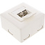 InLine® Cat.6 aansluitdoos, AP/UP 2x RJ45 female, RAL9010, wit, verticaal