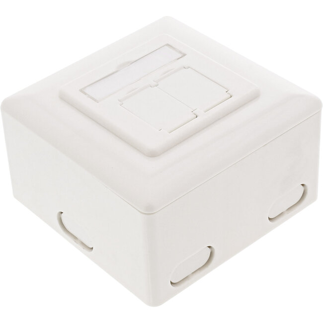 InLine® Cat.6 aansluitdoos, AP/UP 2x RJ45 female, RAL9010, wit, verticaal