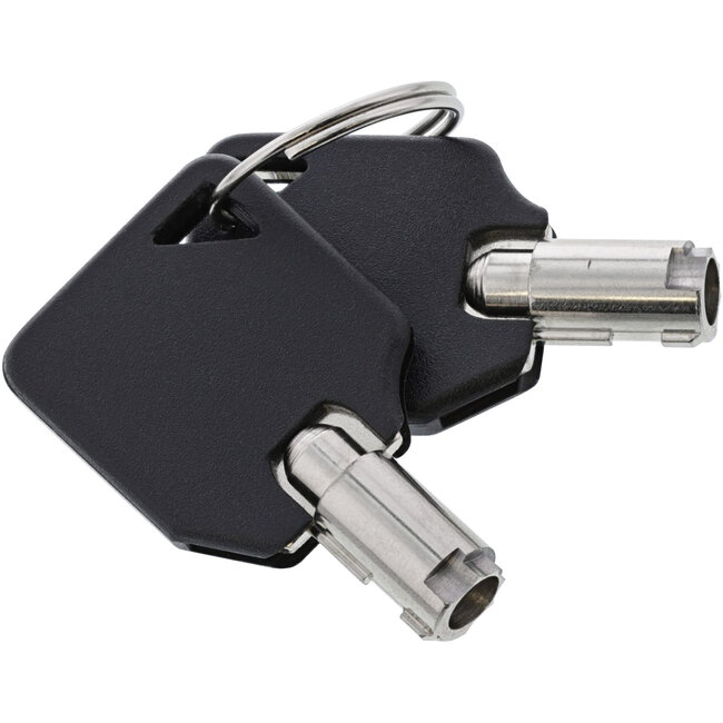 InLine® Notebook veiligheidsslot, met sleutel, 4,4mm x 2m