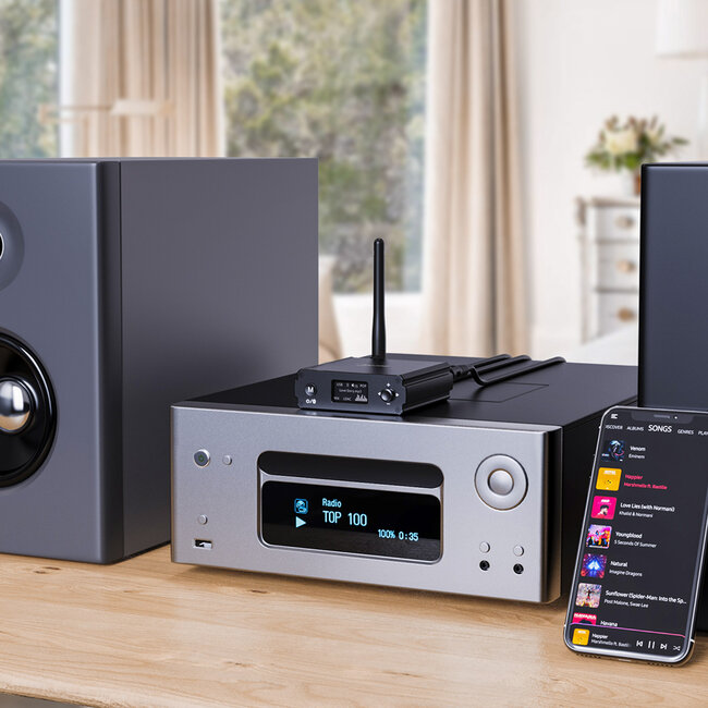 InLine® Bluetooth 5.1 HiFi-ontvanger & USB DAC, met LCD-scherm