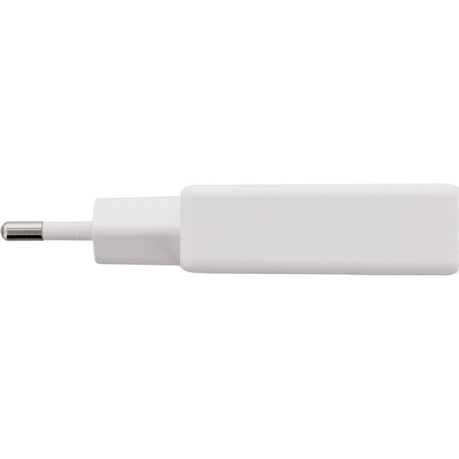 InLine® USB-voeding, oplader, enkele USB-C, PD, AVS, 65W, wit
