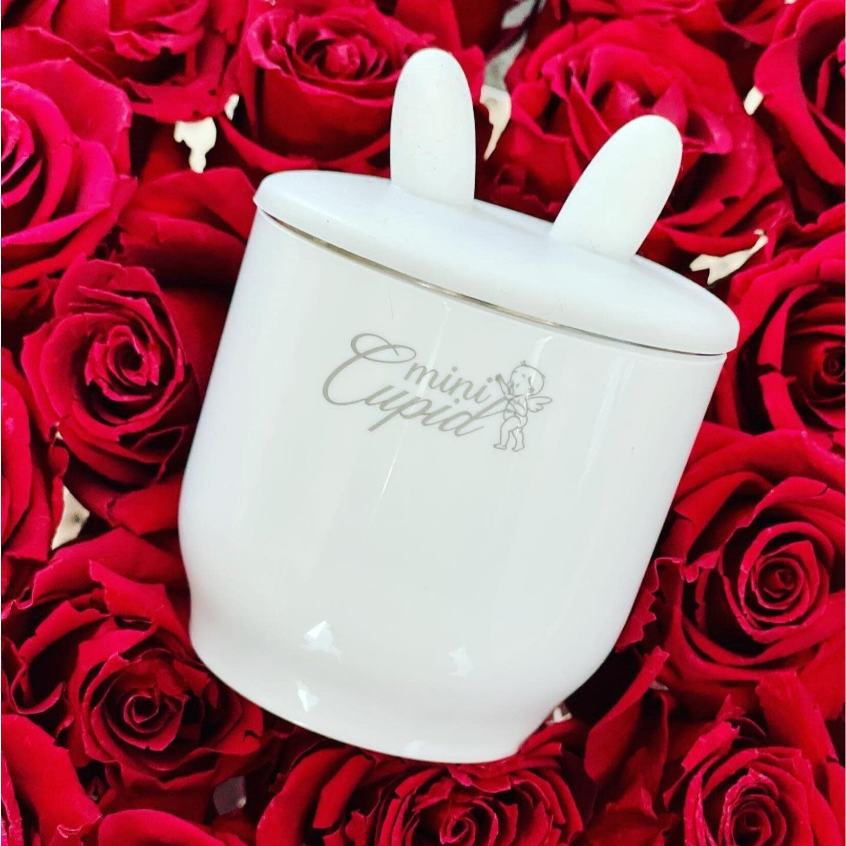 Mini Cupid Chauffe-biberon USB - Chaleur Parfaite pour le Lait de