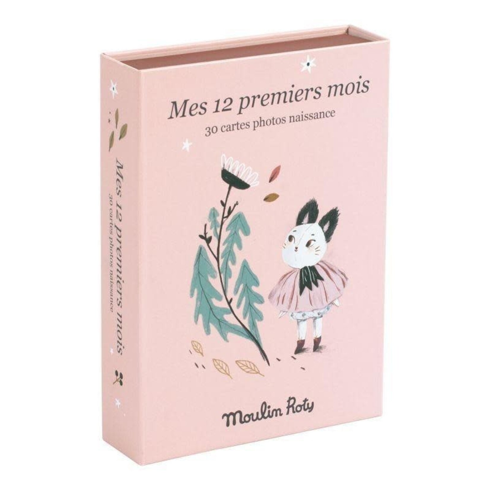 Moulin Roty Cartes Mes 12 Premiers Mois Apres La Pluie 30 Cartes