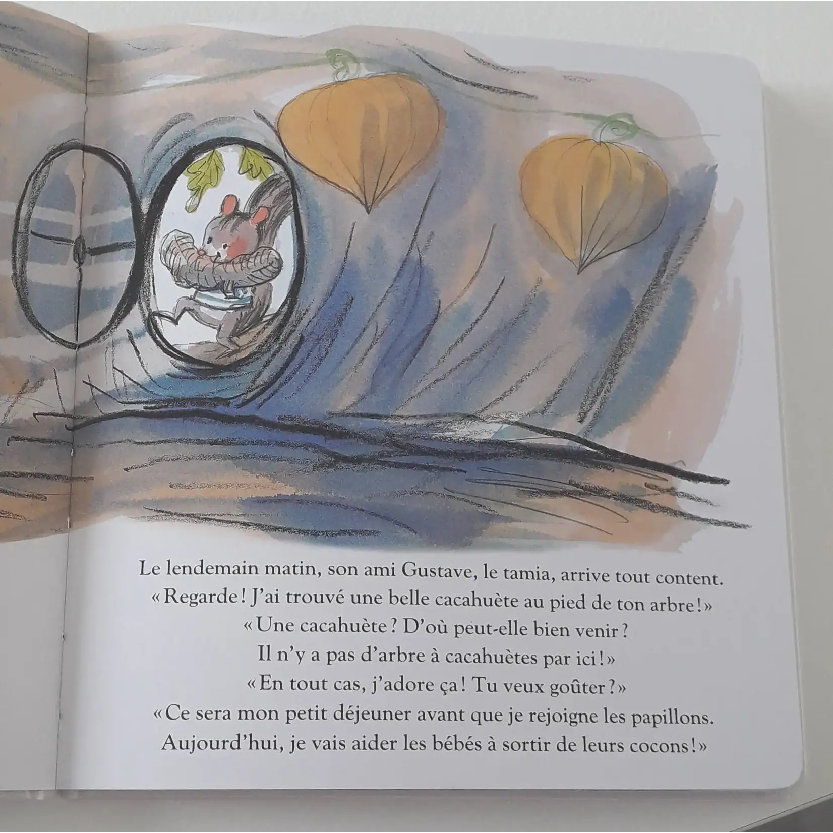 Moulin Roty Livre Minusculette - Des Bruits Dans La Nuit - Dès 2A