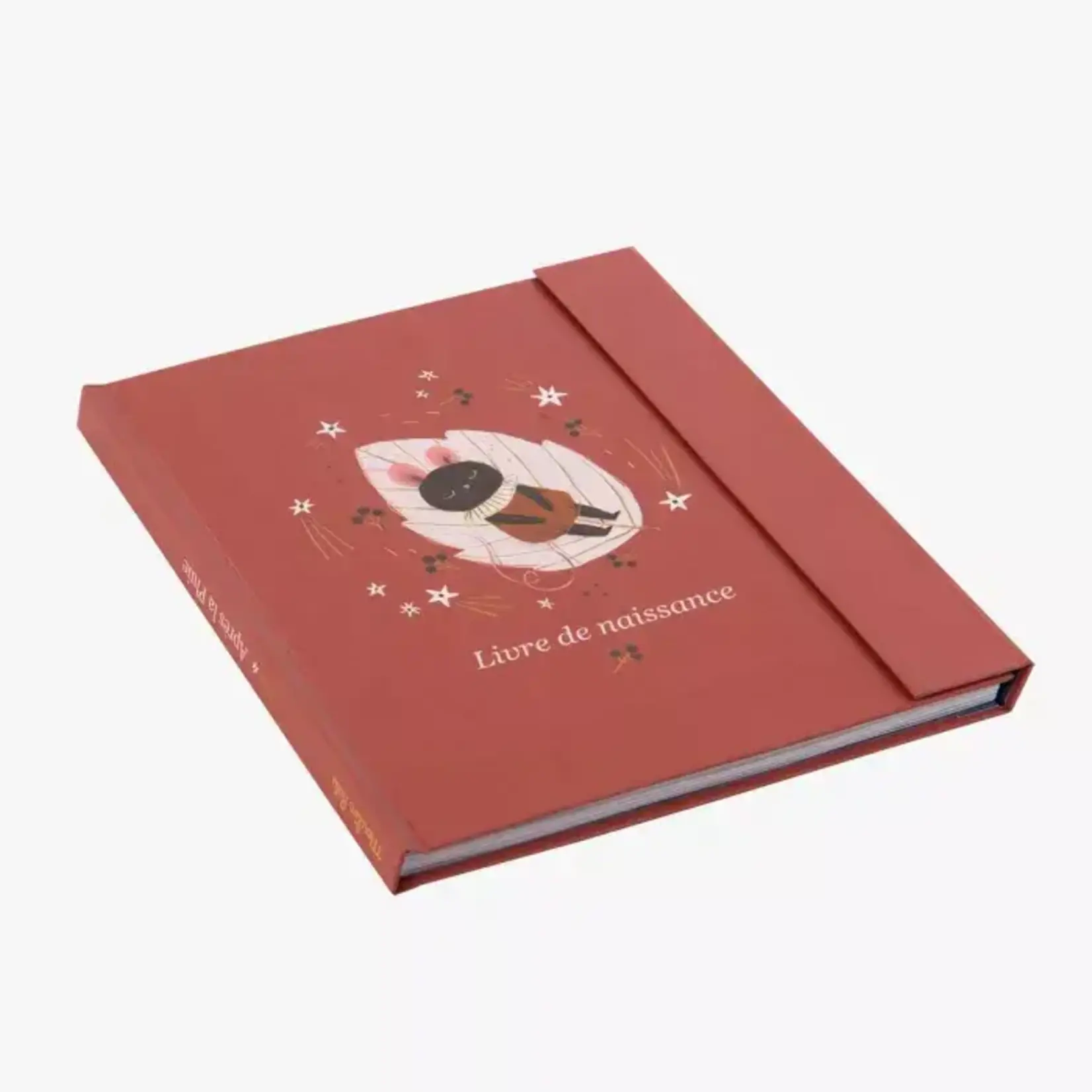 Moulin Roty Livre de Naissance 80 Pages Après la Pluie