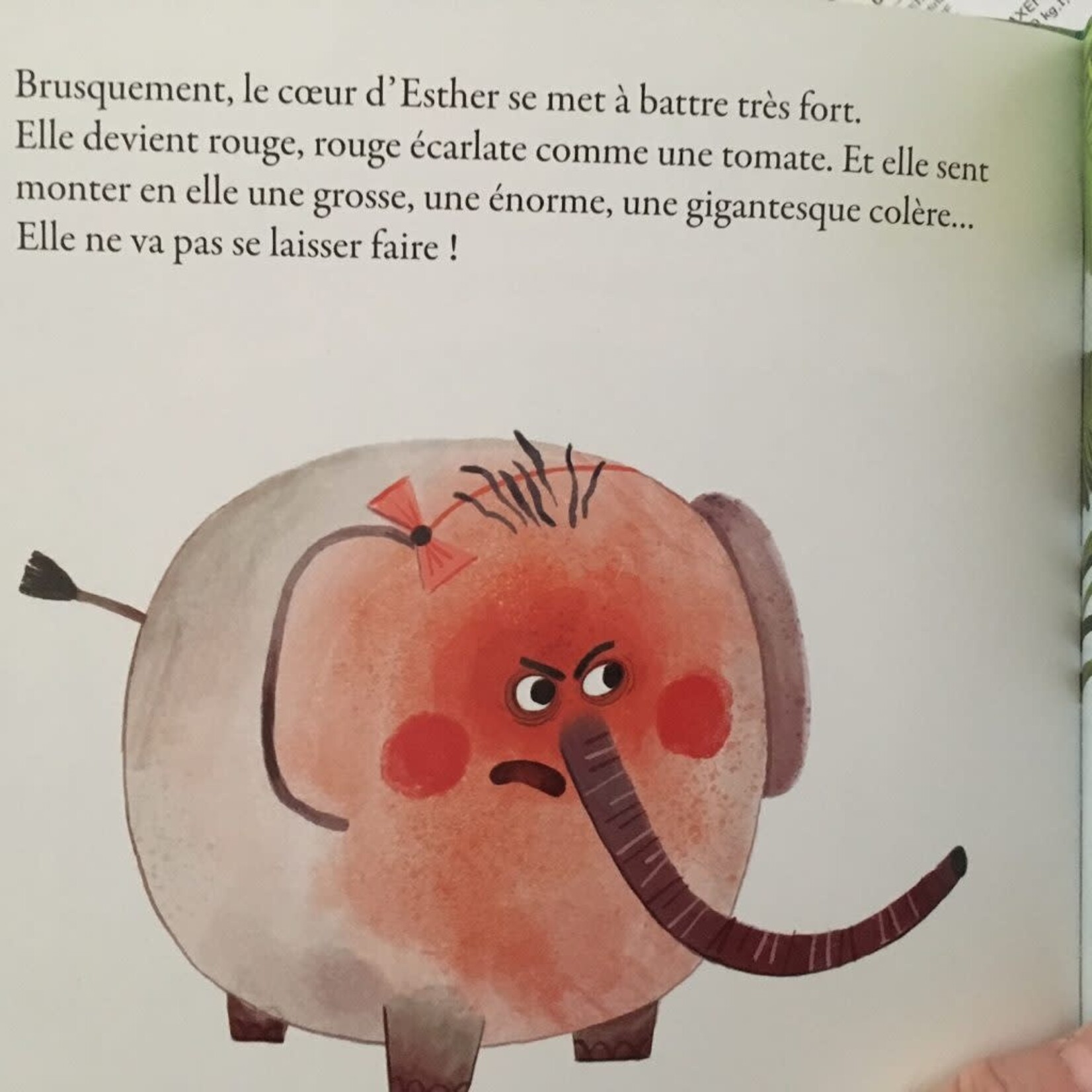 Moulin Roty Livre Imprimé Grosse Colère - Dès 3A