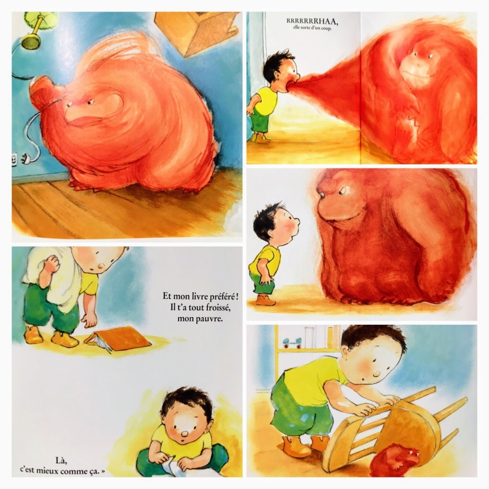 Moulin Roty Livre Imprimé Grosse Colère - Dès 3A