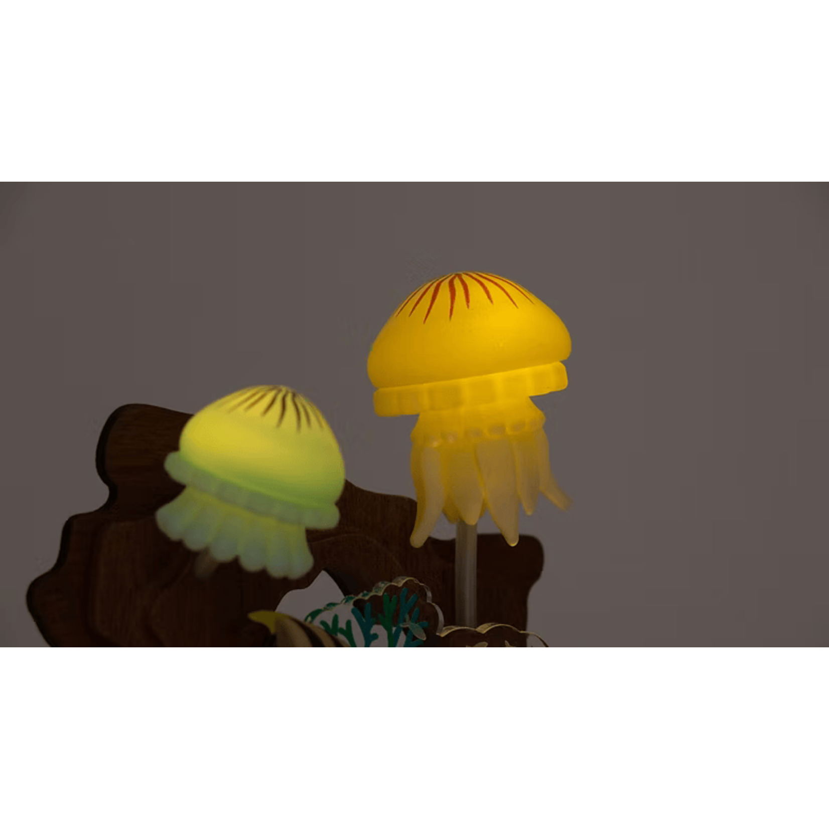 Wooderful Life Veilleuse Bois Fond Marin Wooderful Life