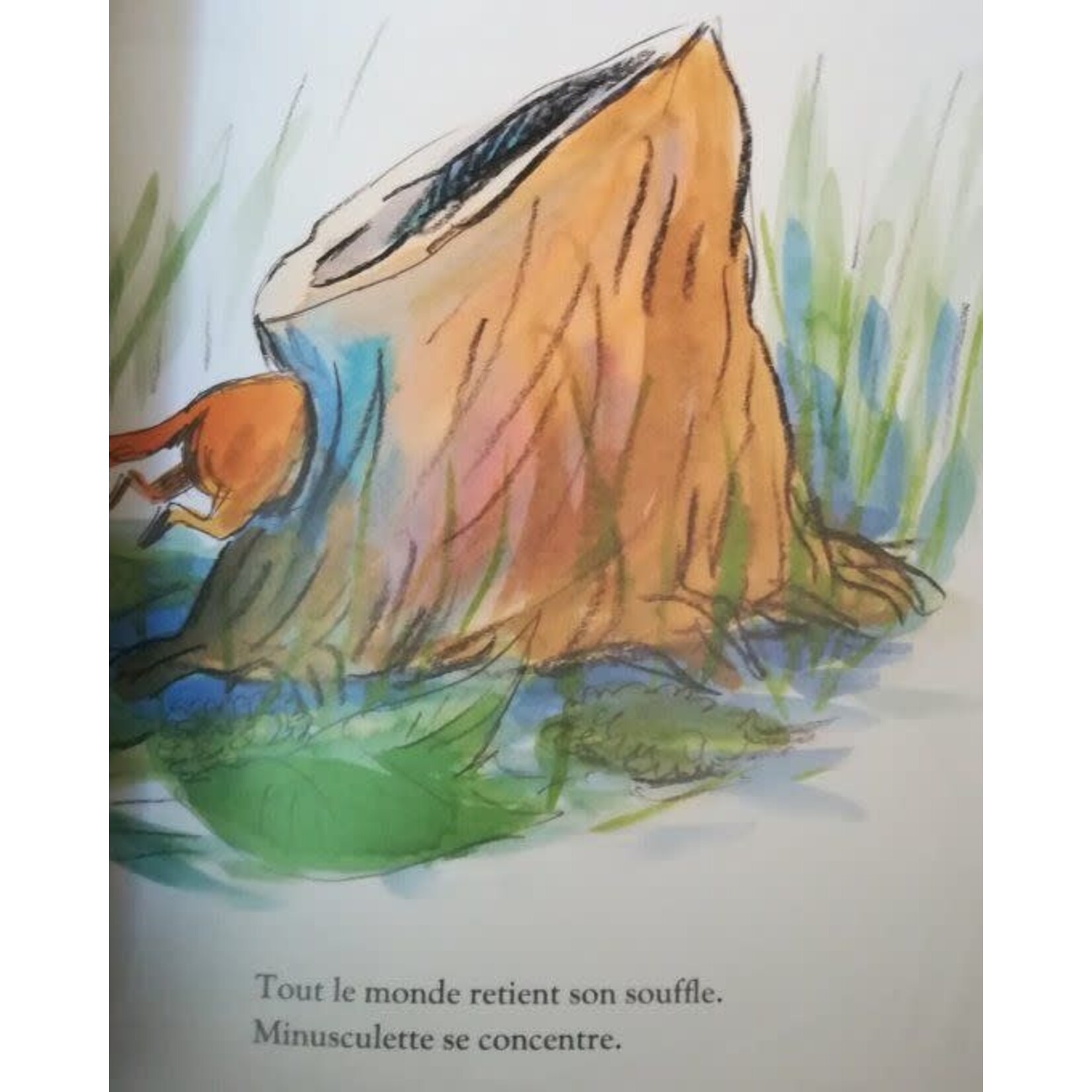 Moulin Roty Livre Minusculette et la Magie - Dès 2A
