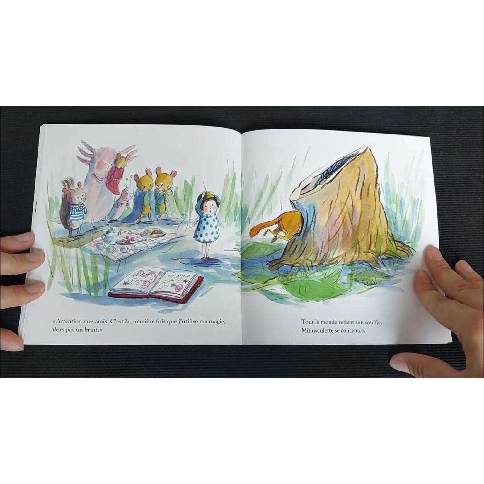 Moulin Roty Livre Minusculette et la Magie - Dès 2A