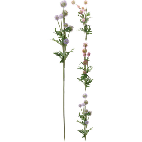 Distel 89cm 3ASS