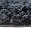 Wicotex Bidetmat zwart 50x60cm