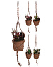 Home & Styling Plant Macrame 4ass