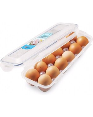  Eierbox voor 12 eieren 32x12x8cm