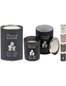  Kaars in glas 80x100mm 4ass