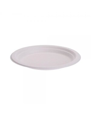  Bord wegwerp 17cm 8stuks bagasse