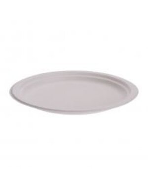  Bord wegwerp 23cm 8stuks bagasse