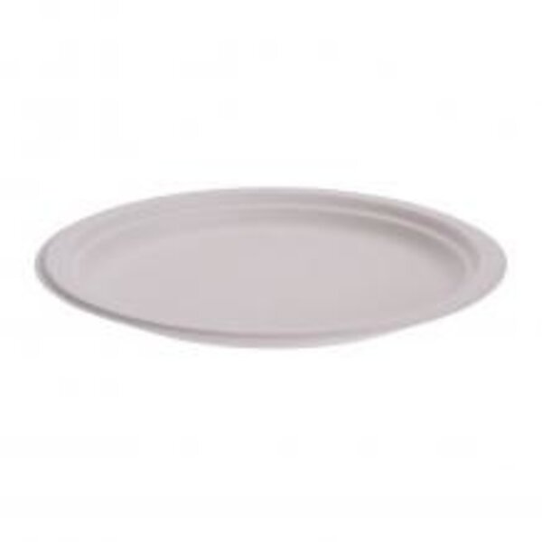 Bord wegwerp 23cm 8stuks bagasse