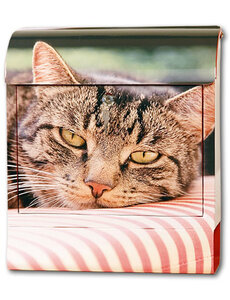 die Briefkastenfirma Brievenbus kat met geluid