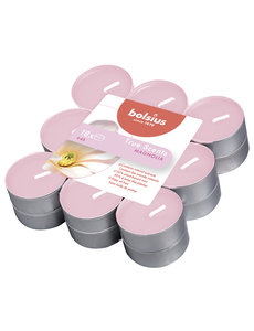 Bolsius Geurtheelicht magnolia set/18
