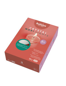 Bolsius Theelichten Maxi 12 stuks 8 uur