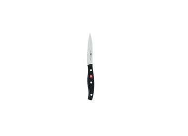 Zwilling Twin Pollux