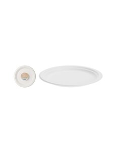  Bord wegwerp 23cm set 8 stuks bagasse