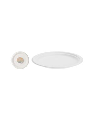  Bord wegwerp 23cm set 8 stuks bagasse