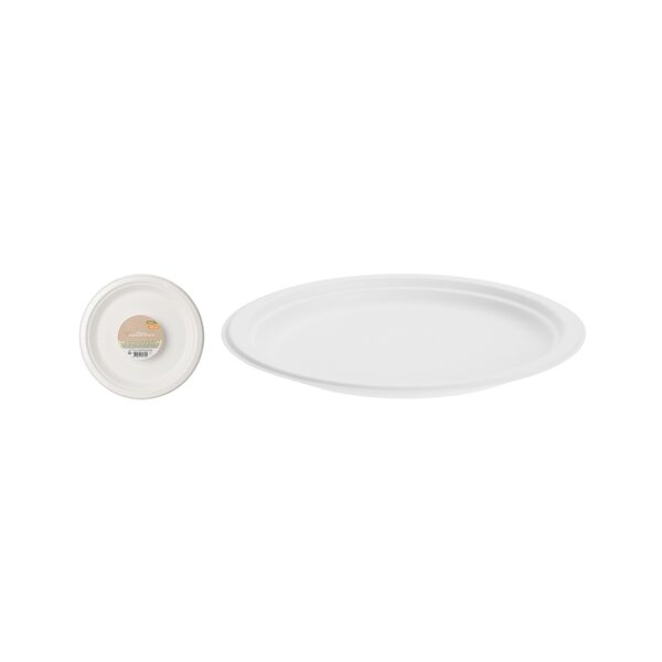 Bord wegwerp 23cm set 8 stuks bagasse