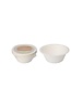  Schaal vegwerp 250ml 8stuks bagasse