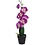 Orchidee in pot 38cm 2ass
